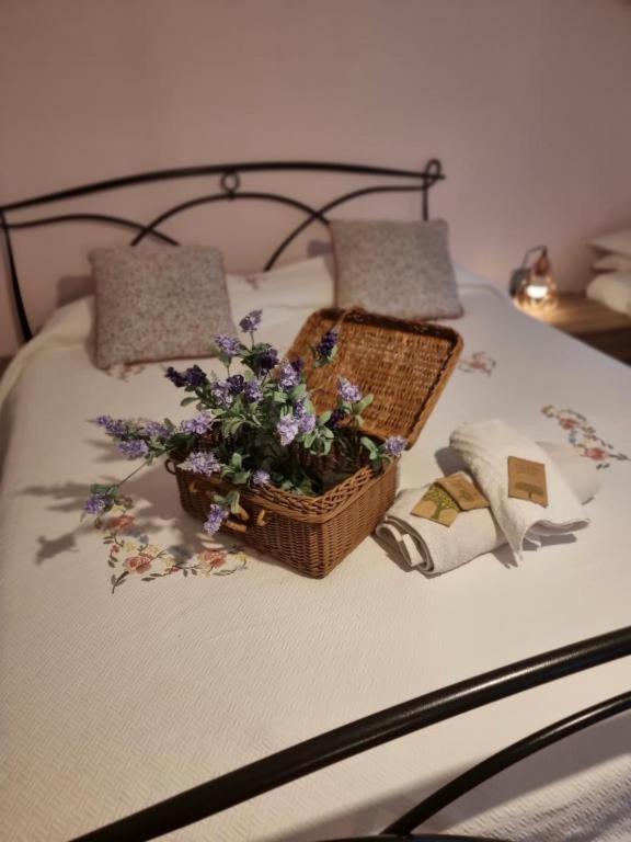 Mary House @ Apartment Sondrio Luaran gambar